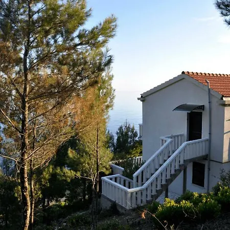 Victor * Babino Polje