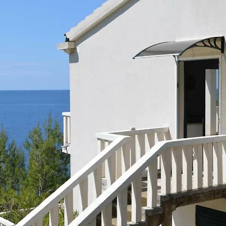Apartment Victor Babino Polje